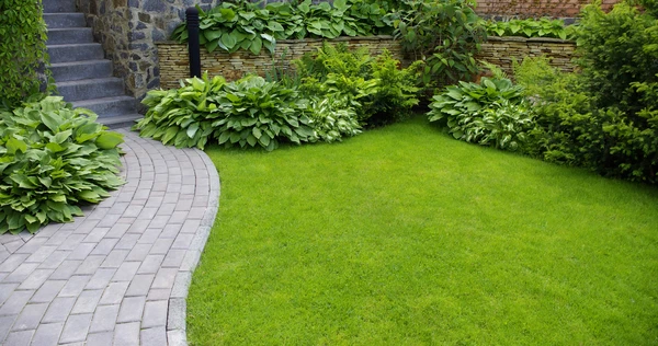 Jardin paysager ext&eacute;rieur avec pelouse verte parfaitement entretenue, bordures v&eacute;g&eacute;tales luxuriantes comprenant hostas et foug&egrave;res